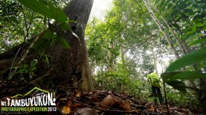 Mount Tambuyukon Expedition  